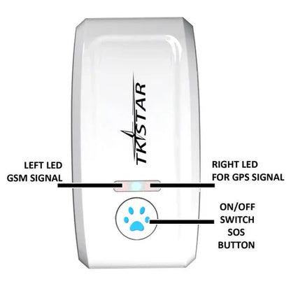 Cat GPS Tracker Locator Device for Pets ( UAE Delivery Time: 1-3 Days )