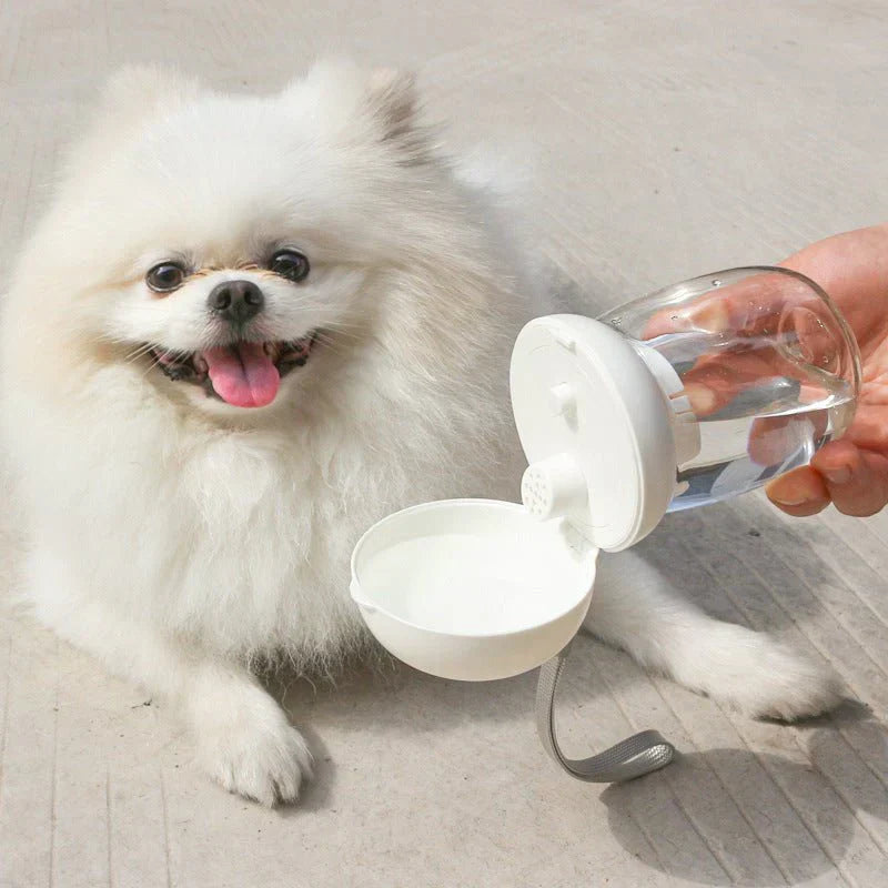 Foldable And Portable Pet Cat And Dog Outdoor Drinking Glass Pet Products ( UAE Delivery Time: 1-3 Days)
